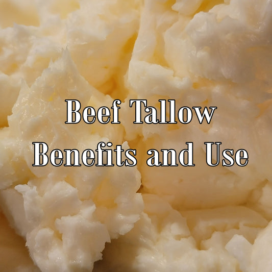 Closeup of beef tallow oil